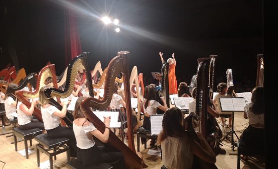 OTTANTA ARPE, UNA VOCE